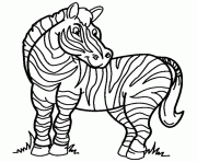 zebre 5 dessin à colorier