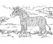 Coloriage zebre avec rayure et un zebre sans rayure dessin