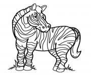 adorable zebre animal maternelle dessin à colorier