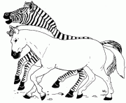 zebre avec rayure et un zebre sans rayure dessin à colorier