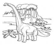 Coloriage dinosaure 290 dessin