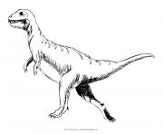 dinosaure 300 dessin à colorier