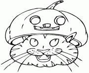 Coloriage citrouille chat halloween dessin