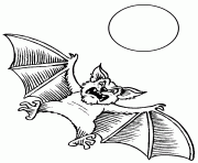 chauve souris et lune dessin à colorier