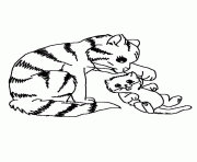 chat joue avec chaton dessin à colorier