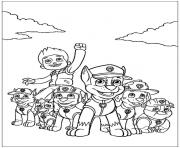 Coloriage pat patrouille chien de compagnons pour lindependance dessin