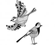 anti stress animaux oiseaux dessin à colorier