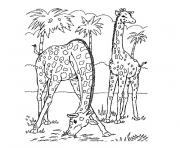palmier avec deux girafes dessin à colorier