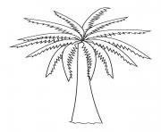 Coloriage palmier cocotier dessin