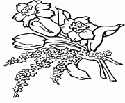 Coloriage fleur de lotus dessin