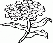 fleur dessin à colorier