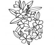 fleur de tiare dessin à colorier