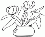 trois tulipes dans un vase dessin à colorier