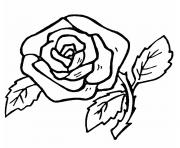 fleur rose simple et facile dessin à colorier