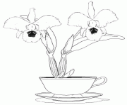 orchidee dans un pot dessin à colorier