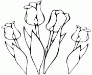 bouquet de tulipes dessin à colorier