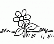 fleur marguerite dessin à colorier