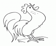 Coloriage cock facile 67