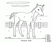 cheval facile 145 dessin à colorier