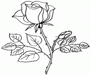 rose et coeur 69 dessin à colorier