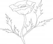roses 149 dessin à colorier