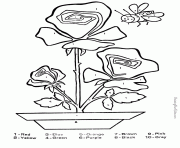 Coloriage roses 79