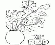 roses 114 dessin à colorier