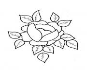 roses 125 dessin à colorier