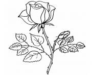 Coloriage bouquet de rose st valentin dessin