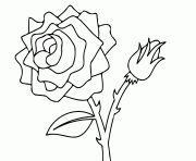 roses 167 dessin à colorier