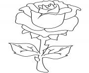 roses 71 dessin à colorier