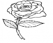 roses 3 dessin à colorier