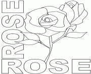 rose rose dessin à colorier