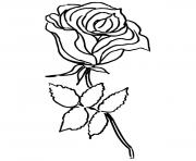 rose simple dessin à colorier
