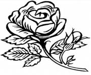 roses 34 dessin à colorier