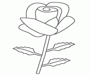 roses 19 dessin à colorier