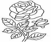 rose et coeur 27 dessin à colorier