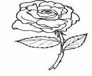 roses 2 dessin à colorier