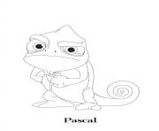 Coloriage raiponce pascal