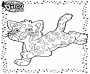 Coloriage go diego go petit tigre dessin