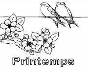 printemps simple oiseaux dessin à colorier