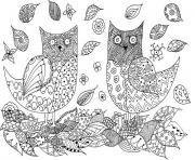 Coloriage chat adulte difficile antistress animaux dessin
