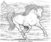 adulte animaux cheval dessin à colorier