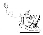 chat chi apres un papillon dessin à colorier