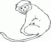 Un singe avec sa queue dessin à colorier