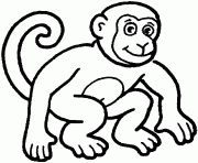 Coloriage un singe qui se gratte la tete dessin