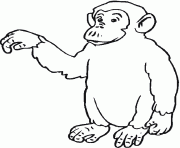 Coloriage singe qui tend son bras