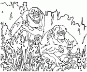 trois singes dans la jungle dessin à colorier