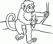 Coloriage un singe avec une banane dessin