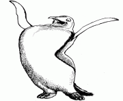 pingouin avec deux nageoire en l air dessin à colorier
